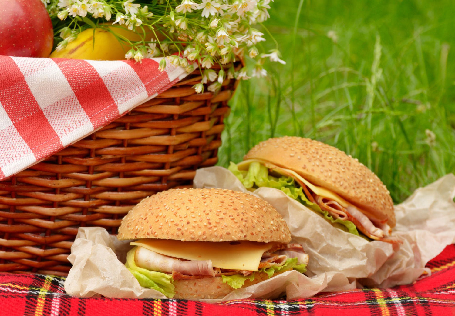 Picnic Perfect: Packable and Delicious Foods for Outdoor Dining