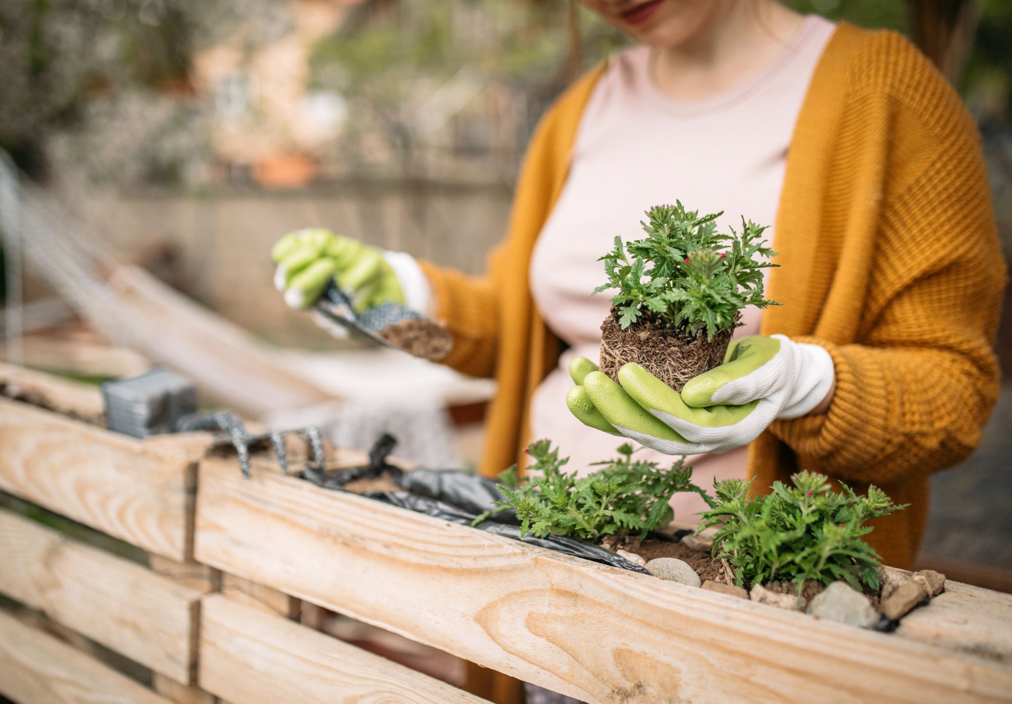 Mindful Gardening for Women to Connect with Nature in Spring