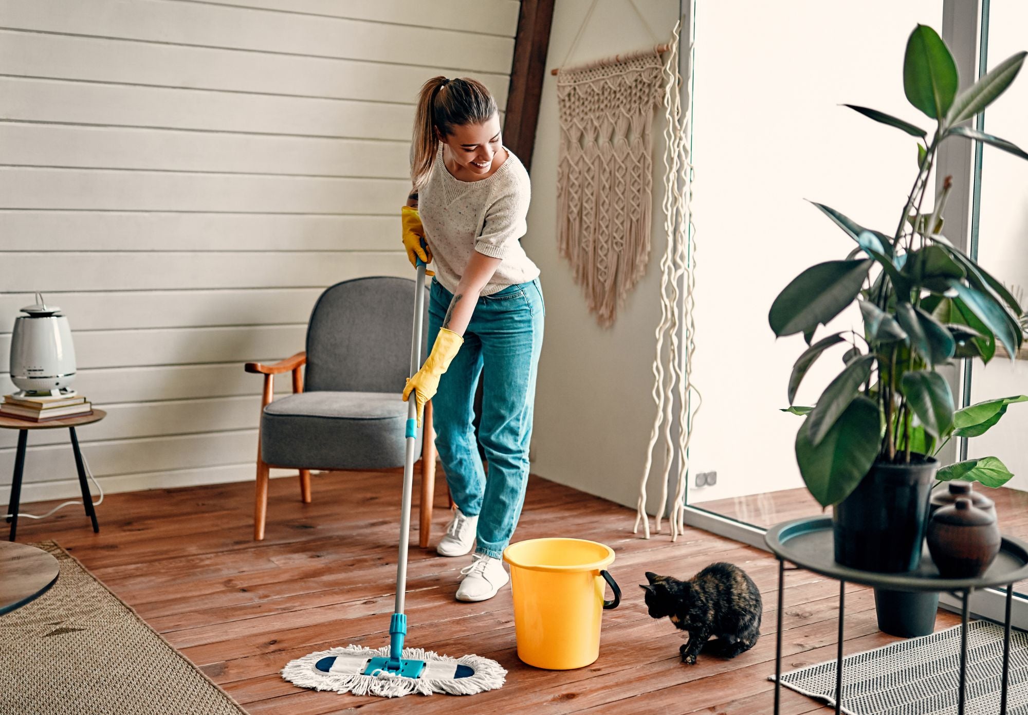 Creating a Healthy Home: Tips for a Clean and Balanced Living Environment