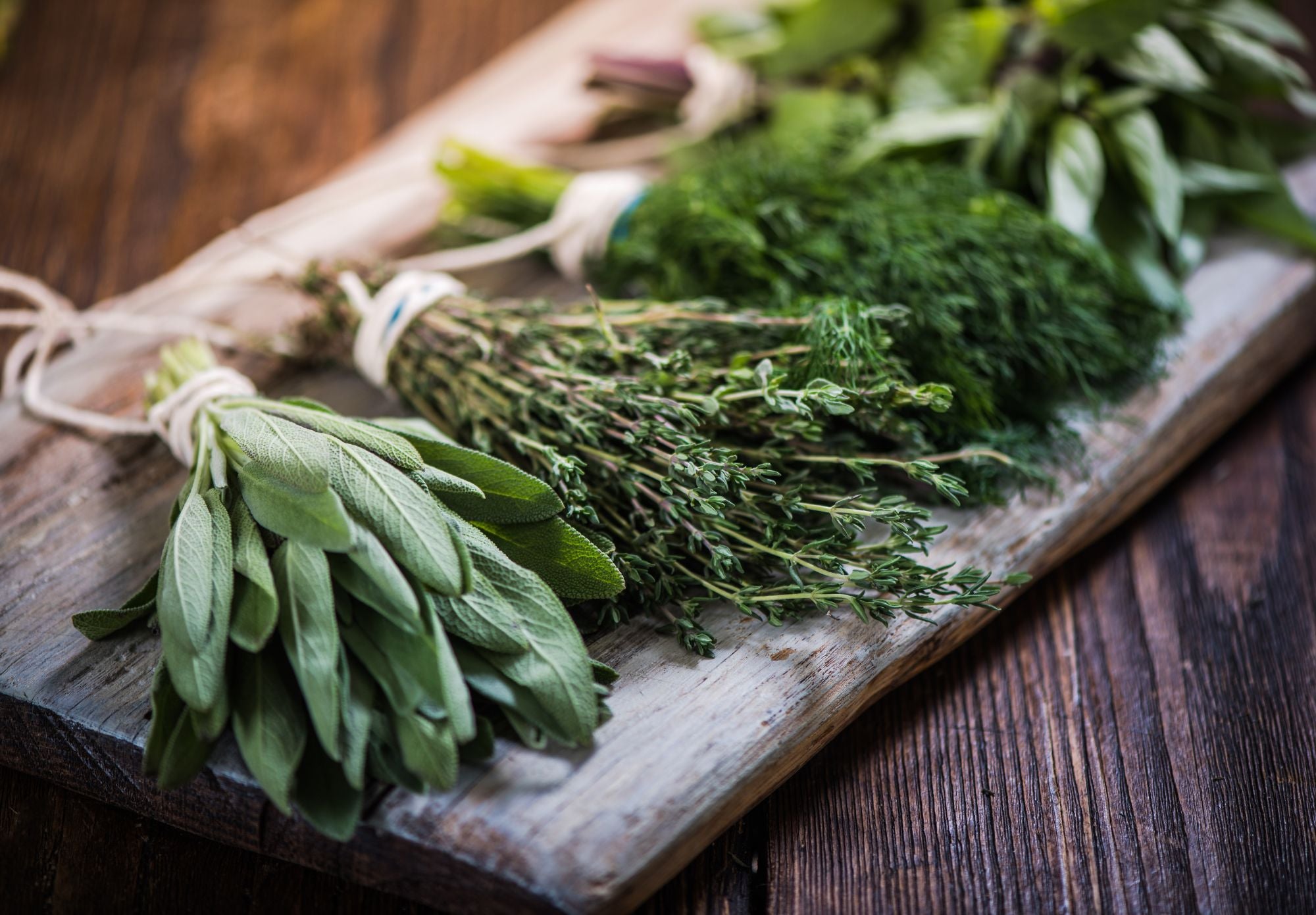 Fresh Herb Spotlight: Utilizing Summer Herbs in Your Cooking