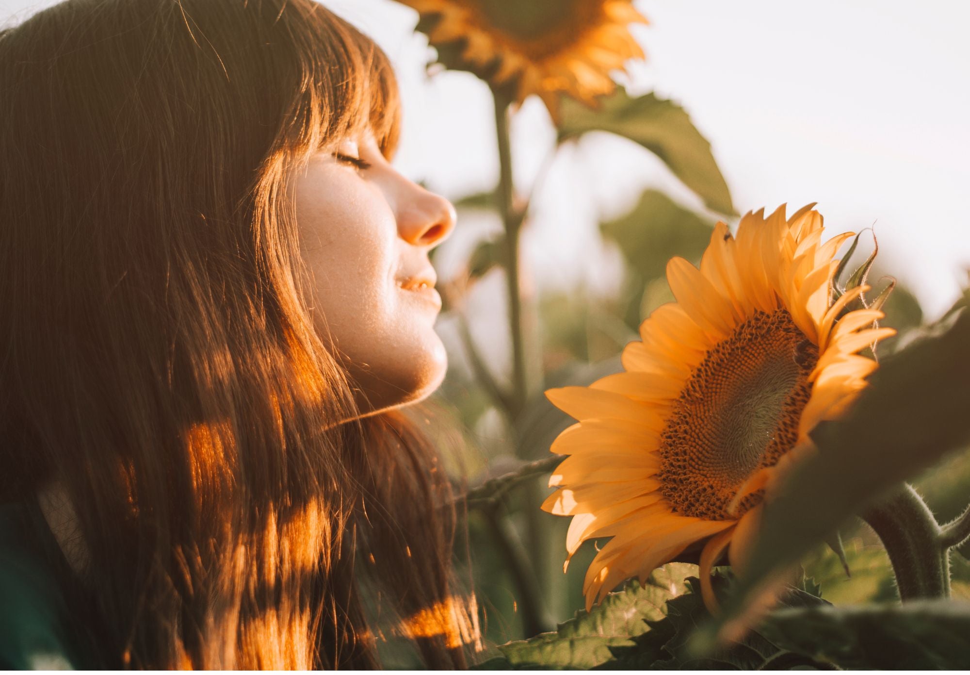 Unveiling the Radiance: Harnessing the Profound Power of Sunlight