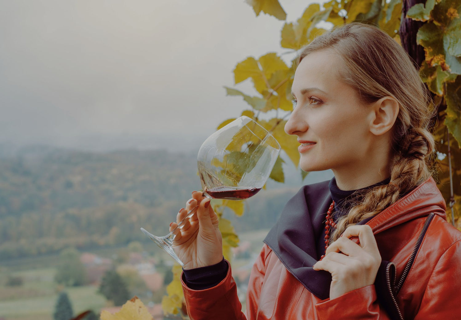 Spring Wine Tours for Women: Top Regions in the US