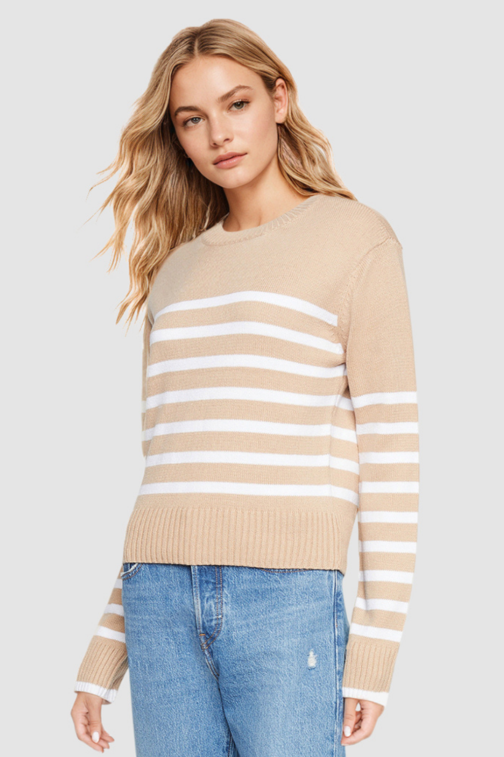 #color_light-taupe-classic-stripe